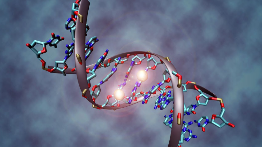 Curious About Your DNA? Here's What You Need to Know First